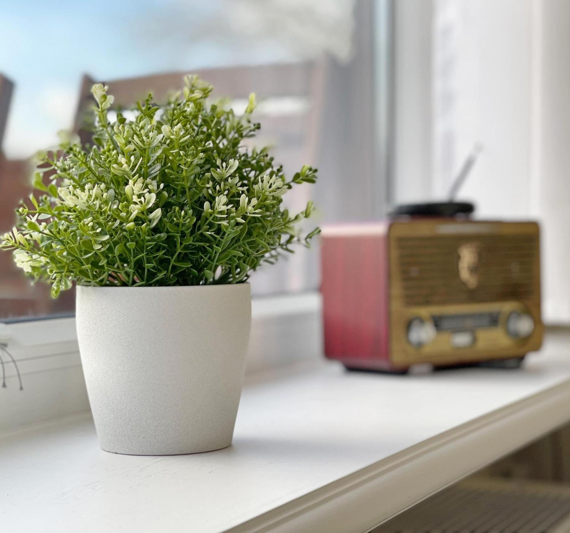 Ferienwohnung In Tinnum Mit Balkon Sylt 外观 照片